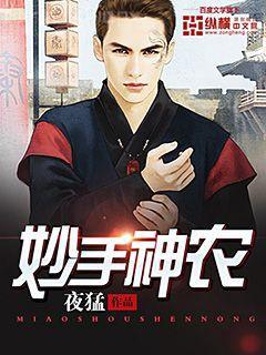 回到三國的特種狙擊手（王燦蔡琰）