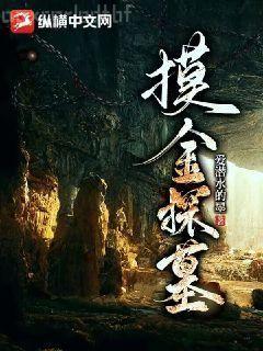 林風的奇怪幻想入大冒險