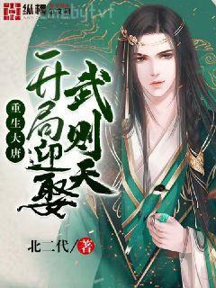 大清風云5：風流天子